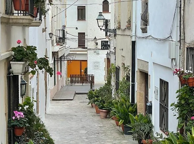 Guest house P&r Hostals Tort